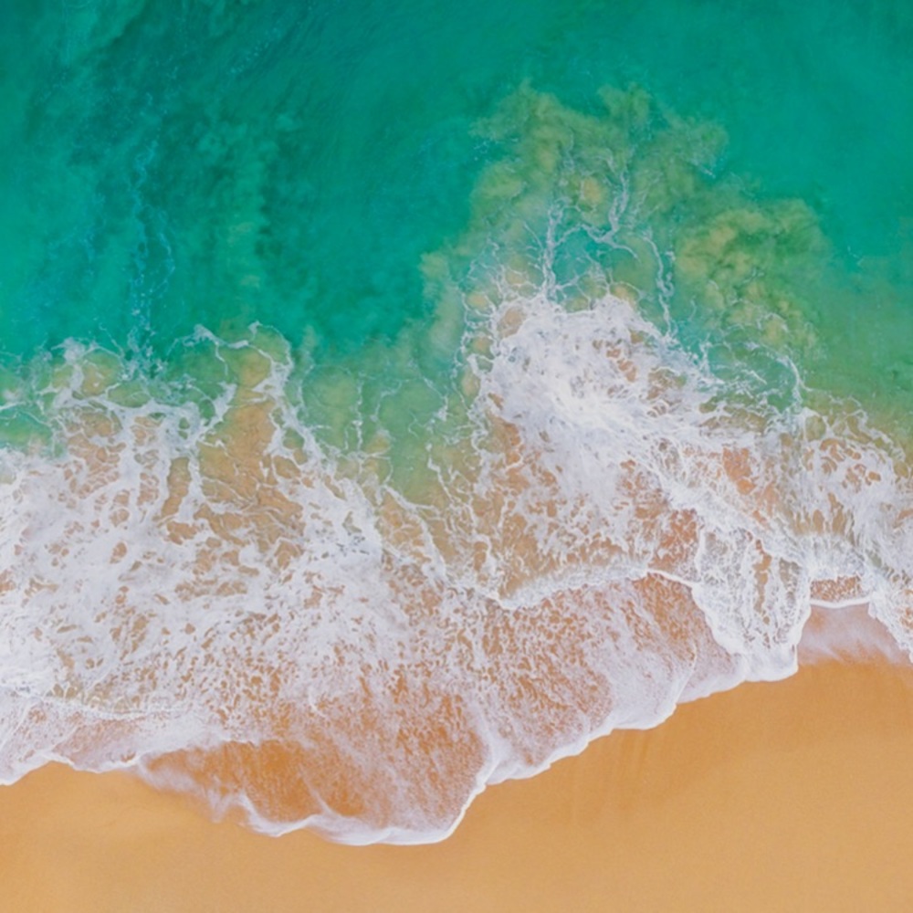 Meet your Posher, Toot